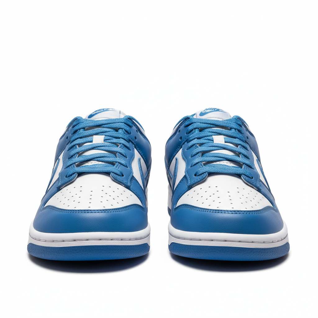 Nike Dunk - Vedere frontală